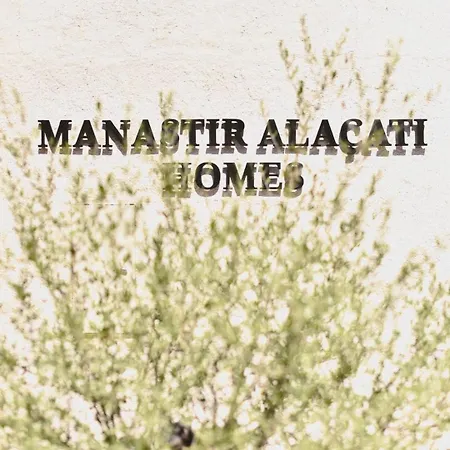 ホテル Manastir 2*